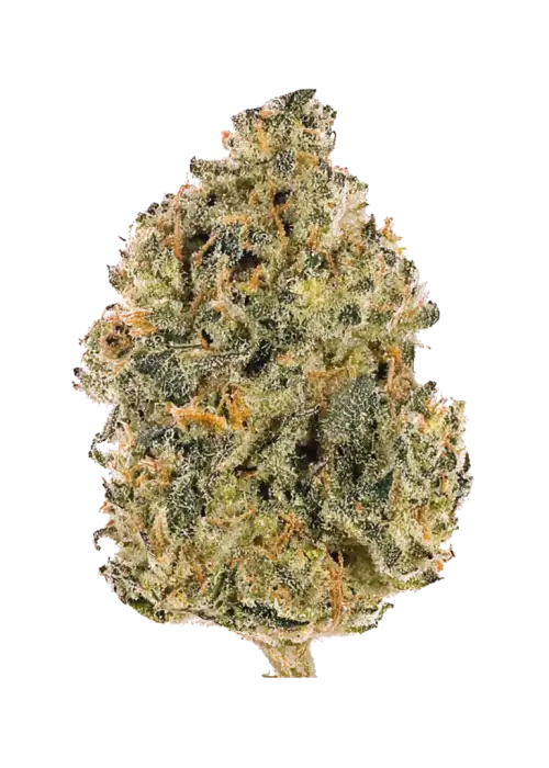 Blue Cherry Gelato