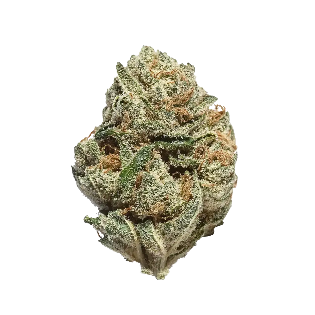 White Rhino Cannabis Strain Information - GrowDiaries