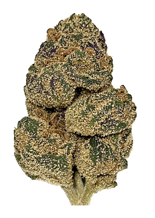 Georgia Peach