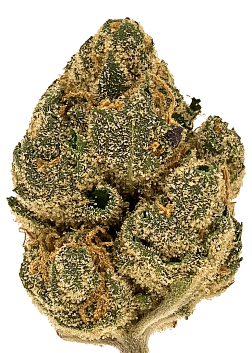Green Dream