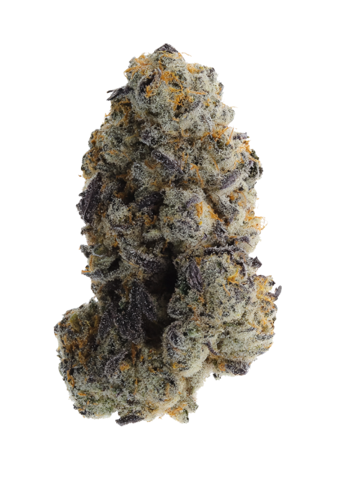 Forbidden Zkittlez