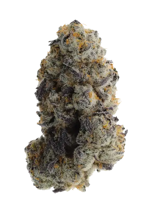 Forbidden Zkittlez
