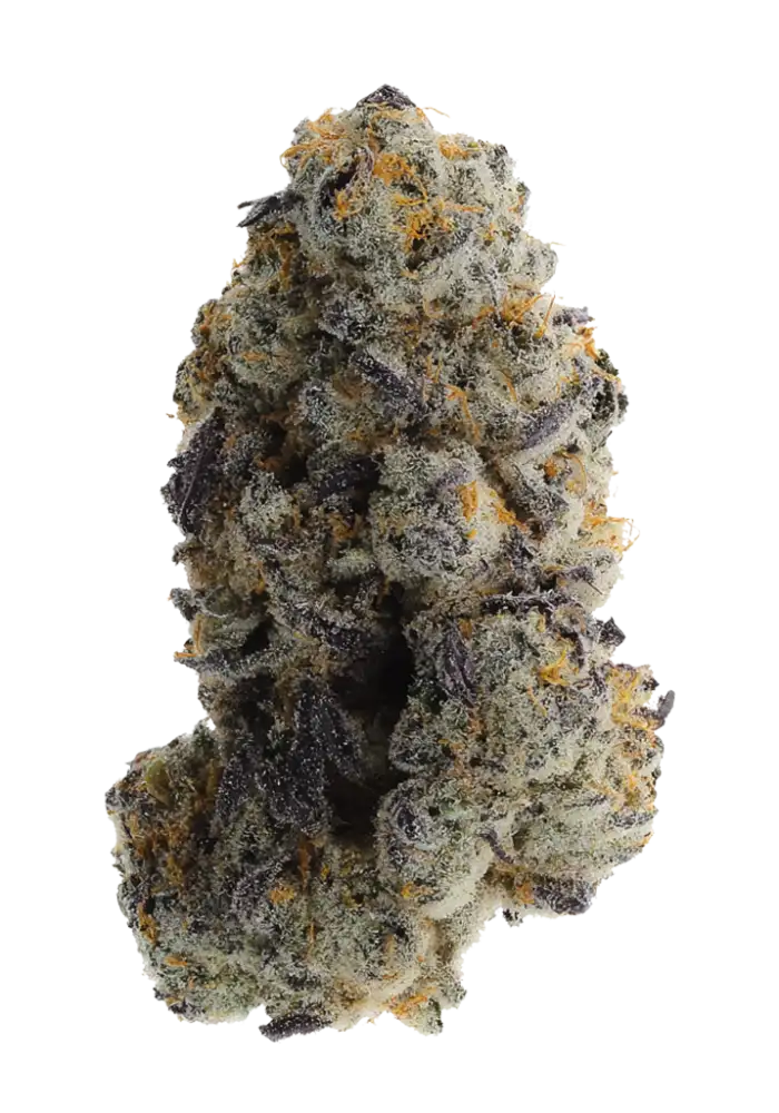 Forbidden Zkittlez Cannabis Strain Information - GrowDiaries