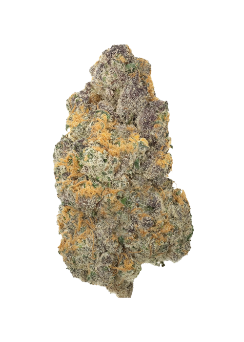 Girl Scout Cookies
