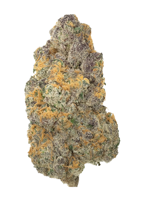 Girl Scout Cookies