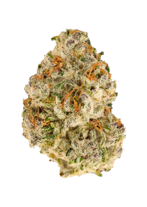 Truffaloha