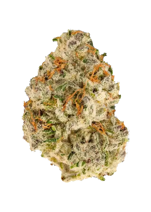 Truffaloha