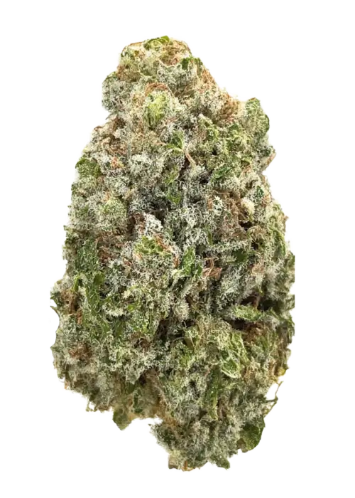 Haze Berry