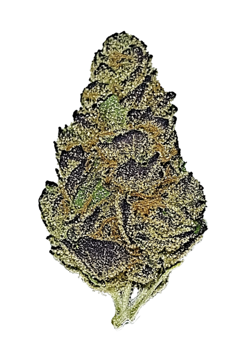 Pineapple Diesel
