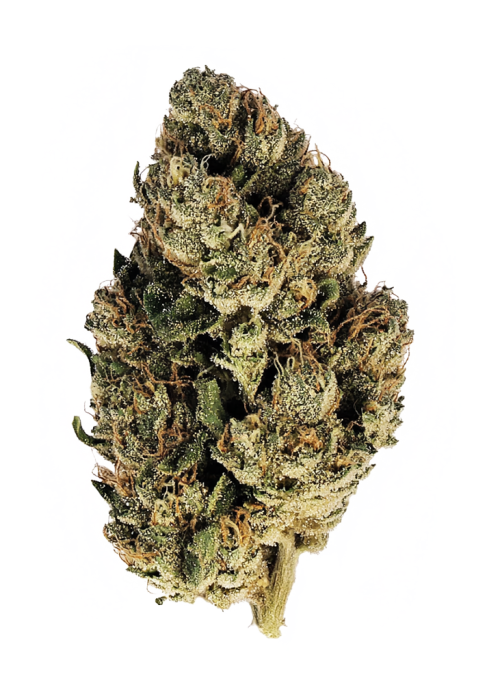 Skywalker