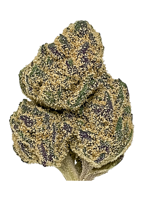 Lavender Jones