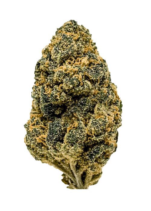 Cherry Fritter