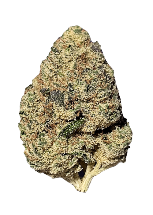 Ghost Rider OG