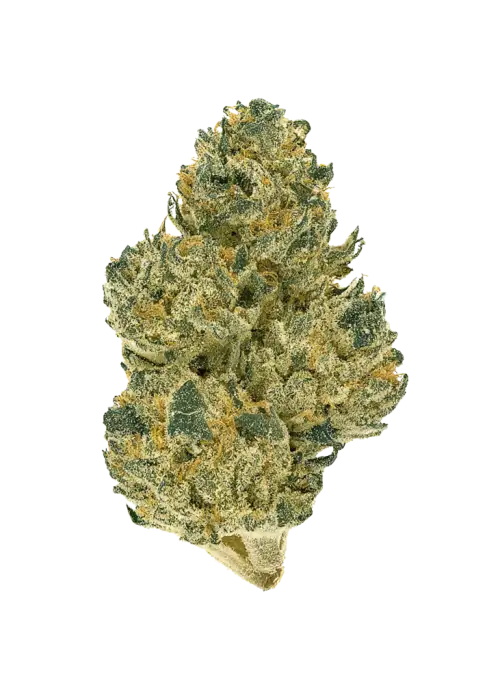 Indiana Bubble Gum