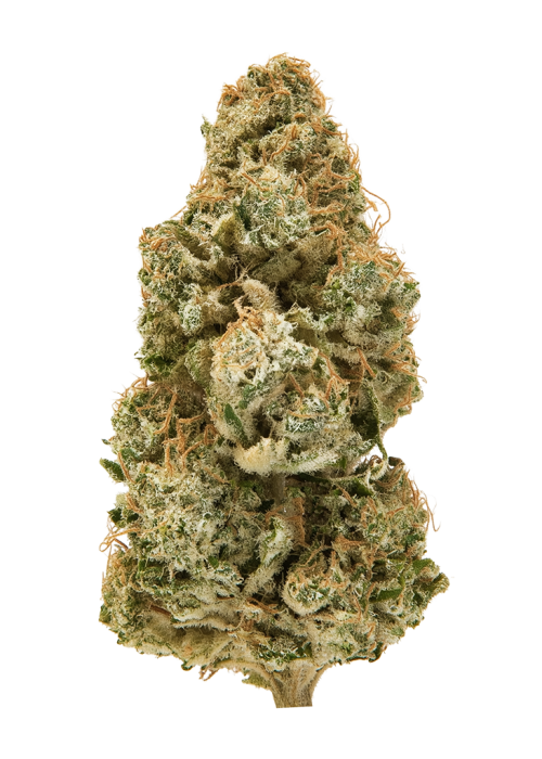 Moonshine Haze