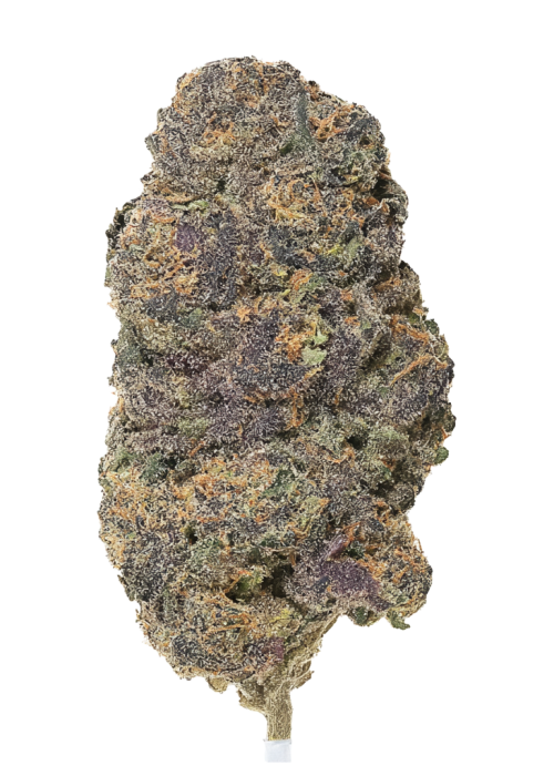 Orangeade