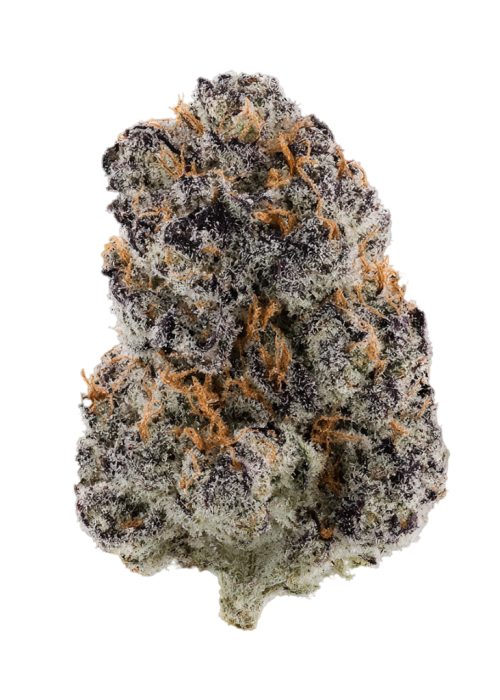 Black Gas