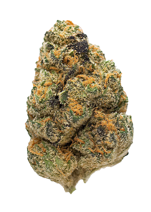 Hardcore OG