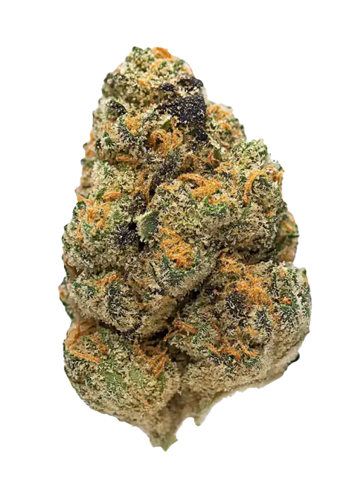 Hardcore OG