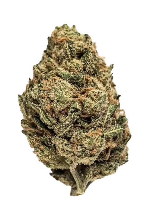 Alien OG
