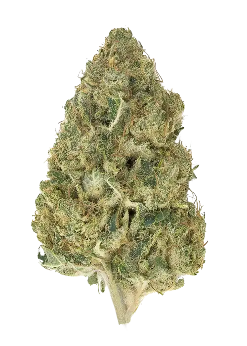 Nebula