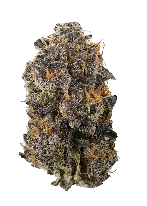 Dr. Funk