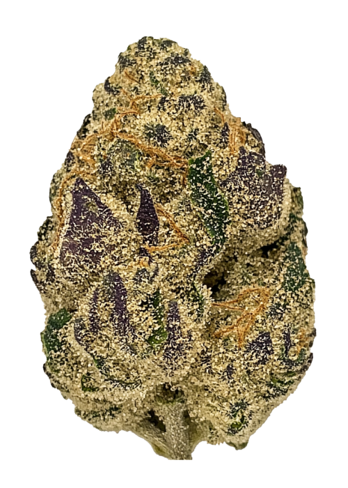 Sour Power
