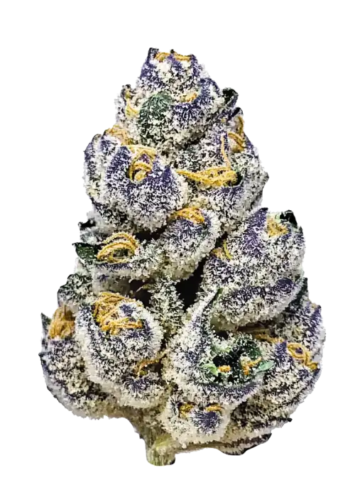Gelato Punch