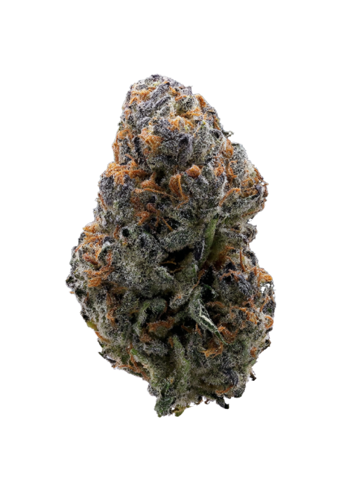 Gelato Punch