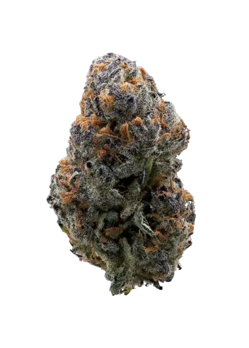Gelato Punch