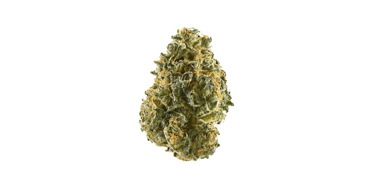Blue Truffle Cannabis Strain Information - GrowDiaries