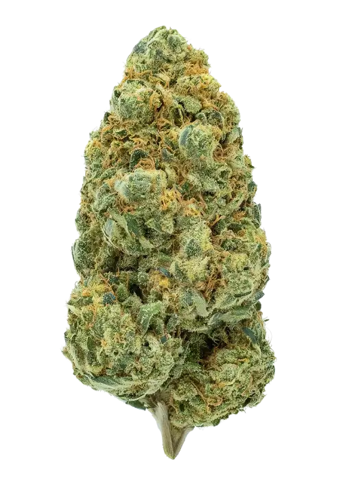 Cali Dream