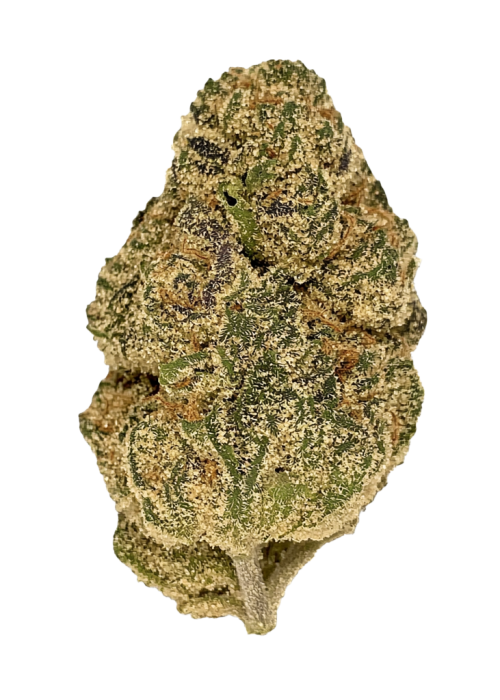 London Pound Mints
