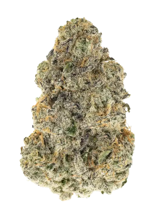 Forum Cookies