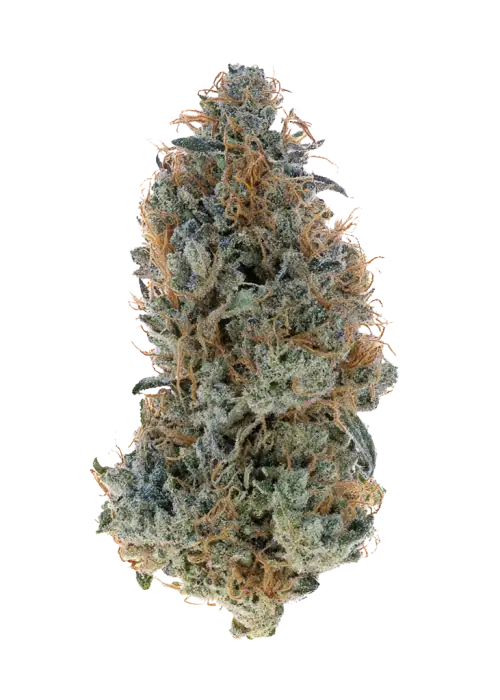 Blue Magic