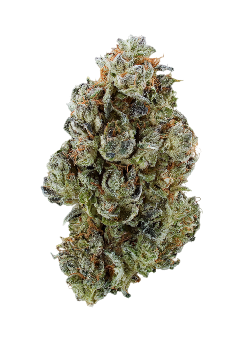 Gorilla OG