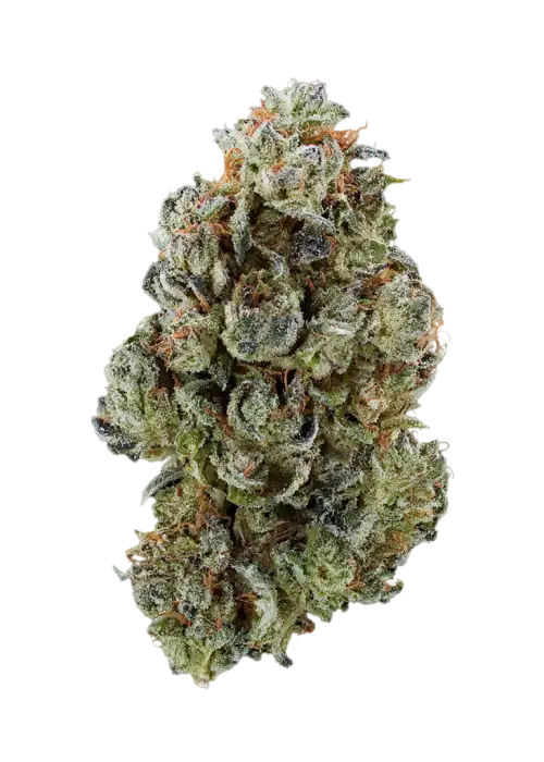 Gorilla OG