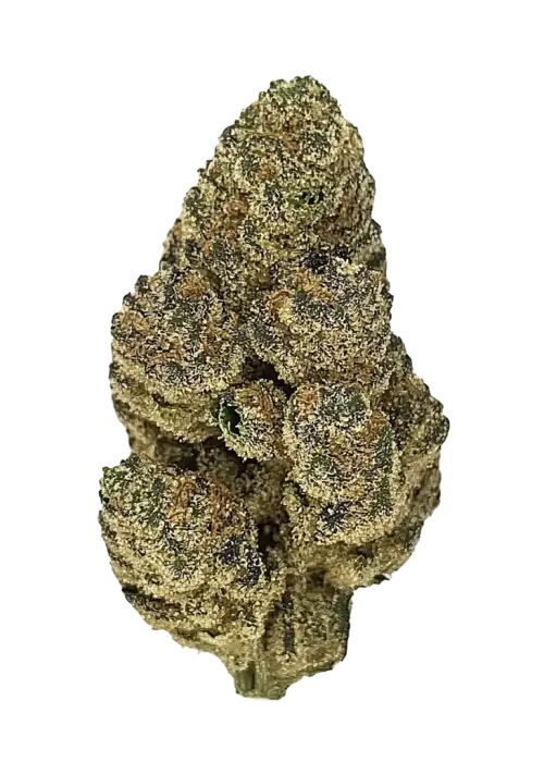 Kimbo Kush