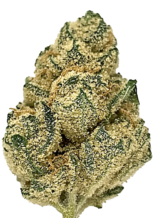 Citral Glue