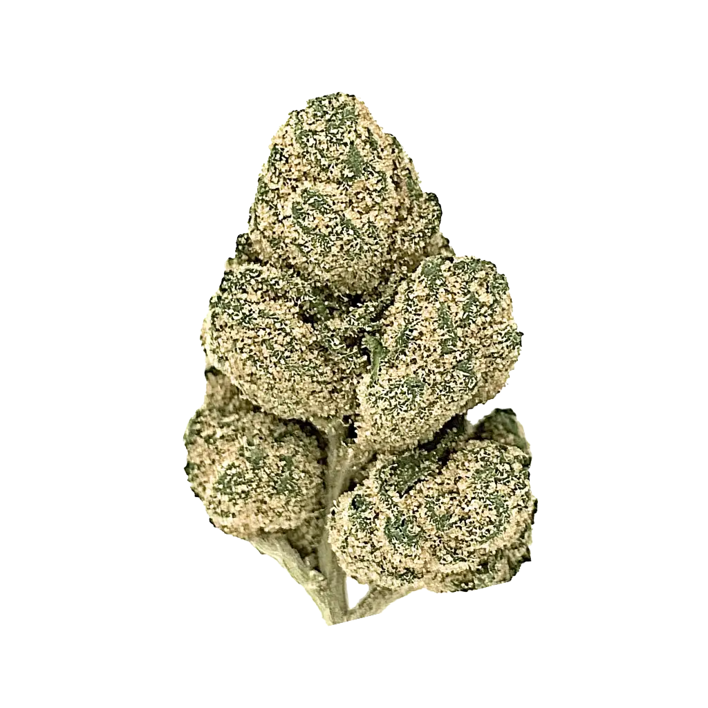 Diamond Dust Cannabis Strain Information - GrowDiaries