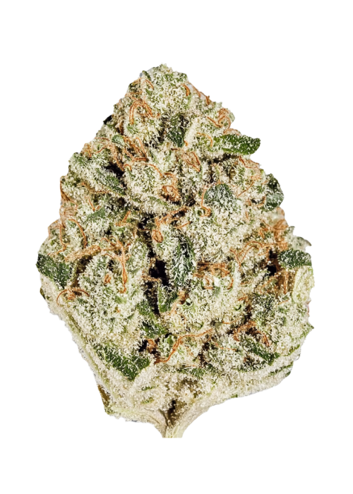 Gelato Cake