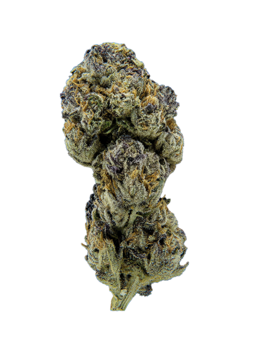 Blue Rhino