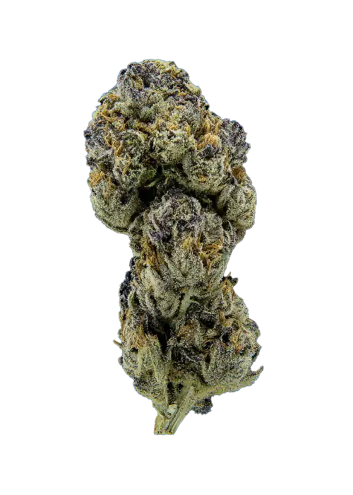 Blue Rhino
