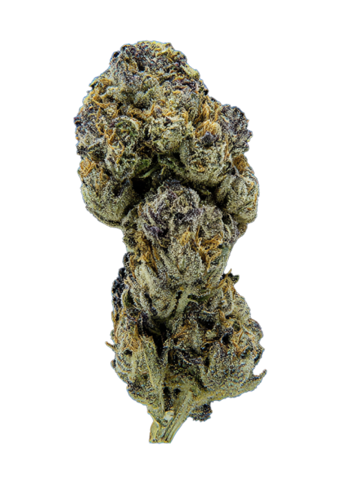 Blue Rhino