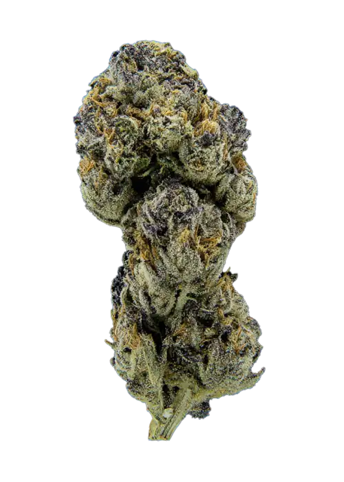 Blue Rhino