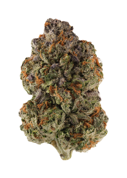 Grandpa's Breath