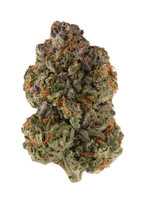 Grandpa's Breath