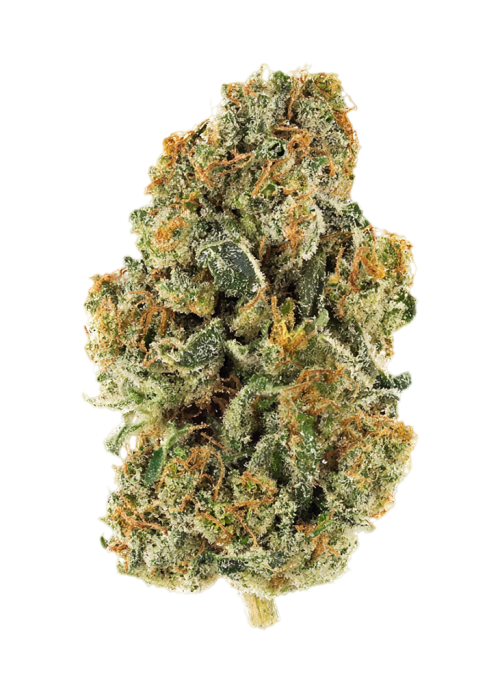 GMO-OG