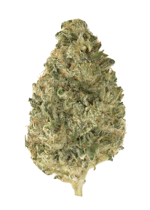 Lemon Triangle Kush