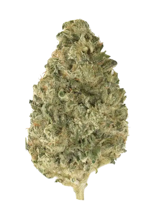 Lemon Triangle Kush